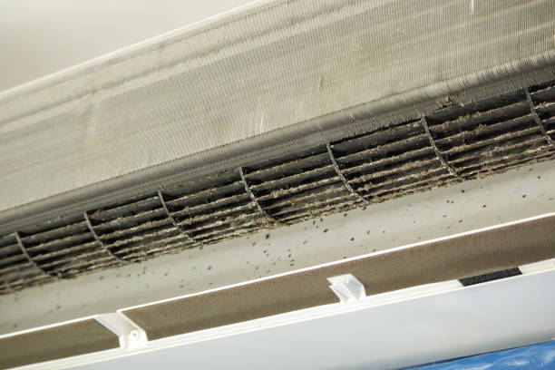 Best Air Duct Cleaning Near Me  in Cloquet, MN