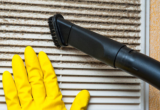Best Home Air Vent Cleaning  in Cloquet, MN
